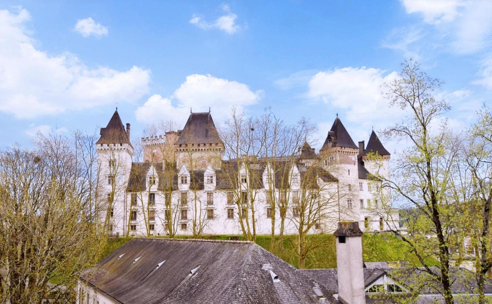 La Vue Royale - Face Au Chateau - Wifi - 4 Personnes Pau Esterno foto